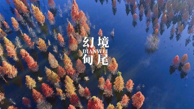 梦想的后院